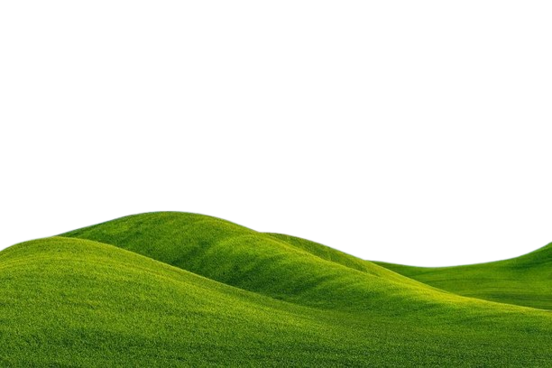 green rolling hills